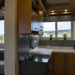 Apartmán Sunshine Chania (Crete)